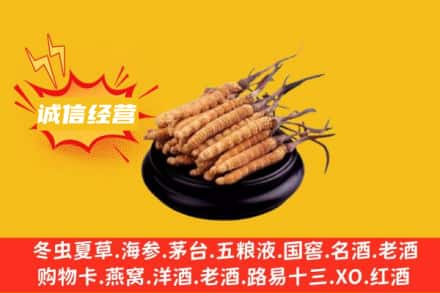 东莞市道滘镇回收冬虫夏草